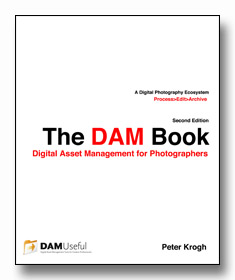 DAM_Book_Cover_Digital2