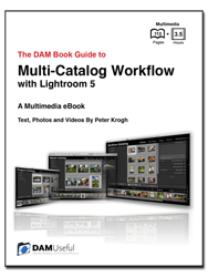 Multi-Catalog Workflow 250